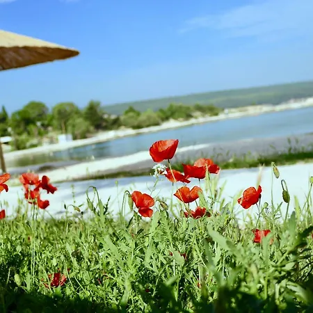 Cherry * Gornji Karin