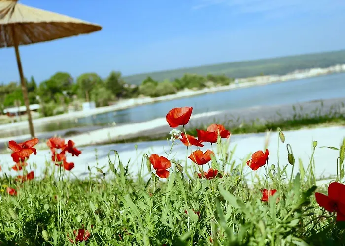 Cherry * Gornji Karin